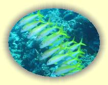 IMG_2007_05_26 18_29_49 * 2272 x 1704 * (564KB)